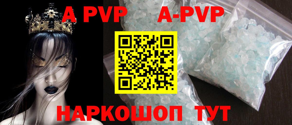 Альфа ПВП СК Калининград