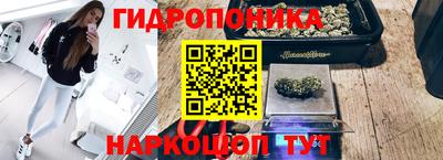 ECSTASY Дубна