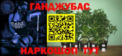 ГАЛЛЮЦИНОГЕННЫЕ ГРИБЫ Донской