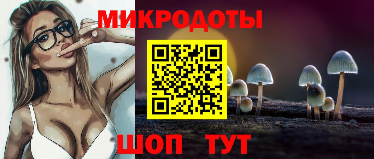 Калининград  Псилоцибиновые грибы Psilocybine cubensis  Вход с VPN 