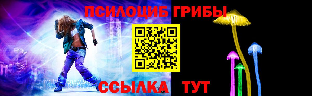 Галлюциногенные грибы Psilocybine cubensis Калининград